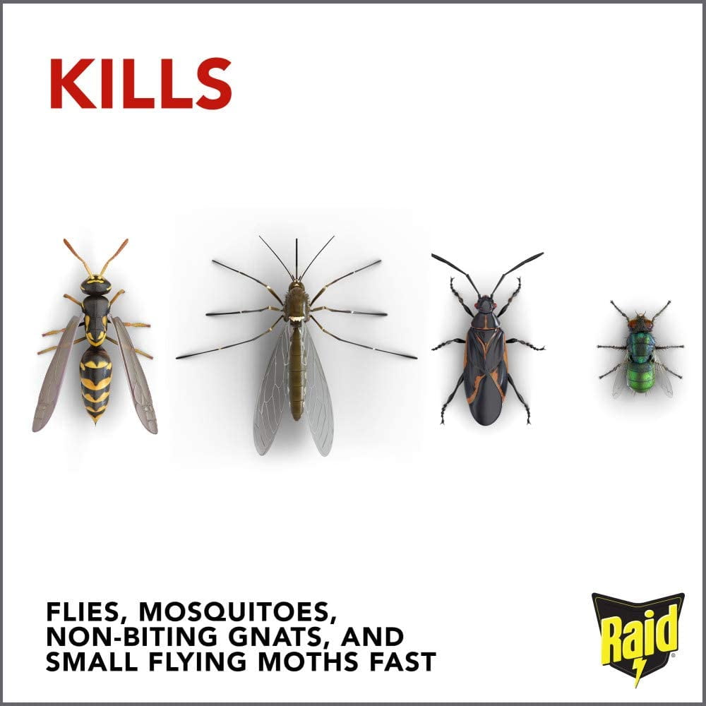 Raid Flying Insect Killer, 15 OZ (Pack - 6)