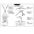 thumbnail image 1 of Salomon Quicklace Kit, 1 of 4