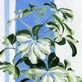 thumbnail image 2 of Scarvey, Emma 12x12 Gold Ornate Wood Framed with Double Matting Museum Art Print Titled - Indoor Plant II, 2 of 4