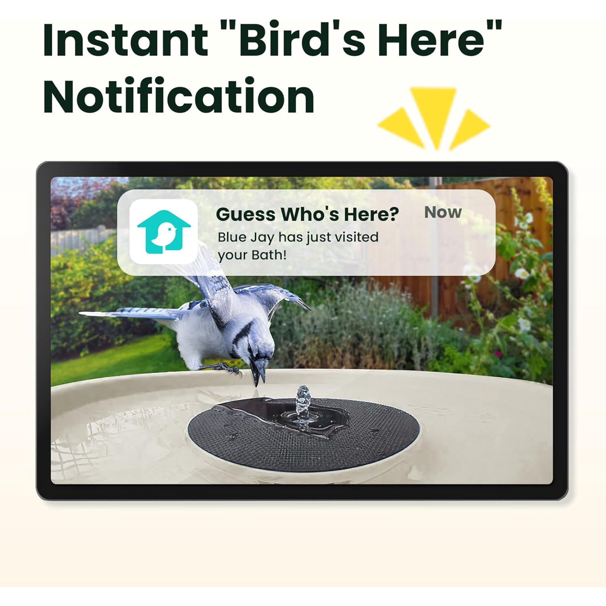 Birdfy Smart Bird Bath with Camera,Solar Birdbath for garden,Dual-Lens Fountain Outdoor, AI Bird Identification & Auto Video Capture with Notification