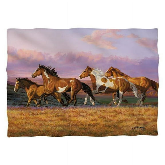 Wild Wings/sunset Cruise 2-pillow Case-white-20x28