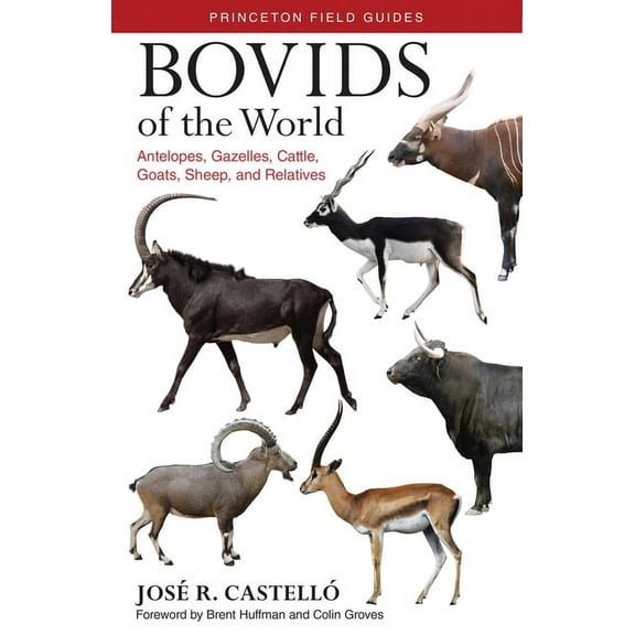 Princeton Field Guides Bovids of the World: Antelopes, Gazelles, Cattle, Goats, Sheep, and Relatives, Book 104, (Paperback)