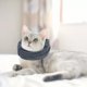 thumbnail image 2 of Perro Snood Ear Protector de Perro Lindo Perro Cuello Headwear Perro Orejas Sunnimix Cubierta de orejas de mascotas, 2 of 8