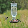 thumbnail image 3 of Perky-Pet 24 oz Clear Square Antique Bottle Glass Hummingbird Feeder, 3 of 3