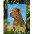 thumbnail image 3 of Carolines Treasures SS4165GF 11 x 15 In. Curly Coated Retriever Flag- Garden Size, 3 of 3
