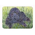thumbnail image 1 of Carolines Treasures SS8872RUG Newfoundland Machine Washable Memory Foam Mat, 1 of 4