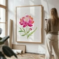 thumbnail image 3 of Pink Peony - Painting Watercolor Floral Flowers Botanical Garden Illustration Nature Oak Framed Wall Art Print 16 x 20 inches, 3 of 80