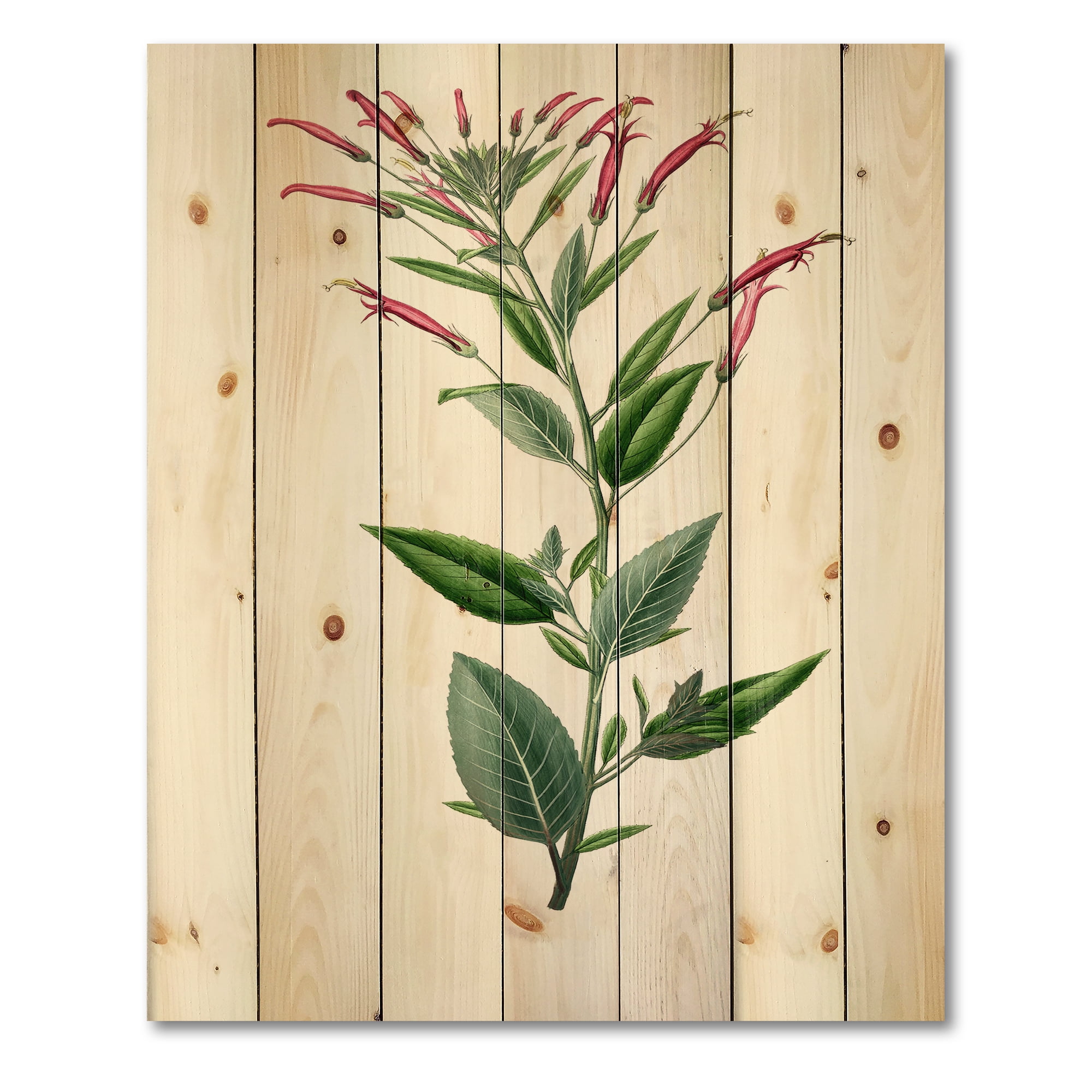 Designart 'Ancient American Flora III' Traditional Print on Natural Pine Wood