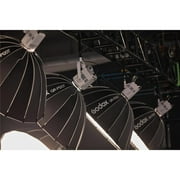 Godox Litemons LE300BI Bi-Color LED Monolight (White)