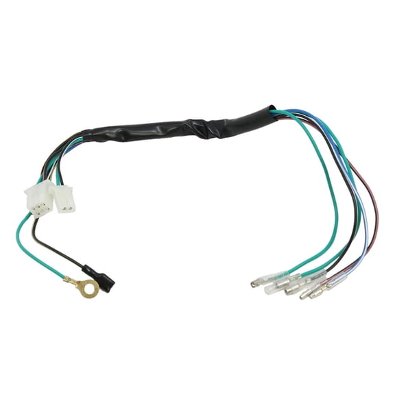 RedCap Wiring Harness for 125cc Engine Lifan Zonshen SSR Pit Dirt Bike Compatible with Honda XR/CRF 50/70 70cc 110cc 125cc Chinese Motors Loncin Jialin