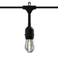 thumbnail image 4 of Better Homes & Gardens 24-Foot Outdoor Commercial String Lights, 12 Shatterproof LED Bulbs, Indoor/Outdoor Use, 4 of 17