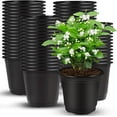 thumbnail image 1 of czcpp-150 Pcs 4" Black Plastic Plants Nursery Pot, Seed Starting Pots, 1 of 4