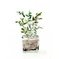 thumbnail image 2 of Chapman, Marcy 15x15 White Modern Wood Framed Museum Art Print Titled - Potted Botanicals V, 2 of 4