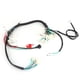 thumbnail image 1 of Arnés de cableado para arranque de motor de 50 cc, 110 cc y 125 cc para cuatrimotos PIT Dirt Bike ATV, 1 of 14