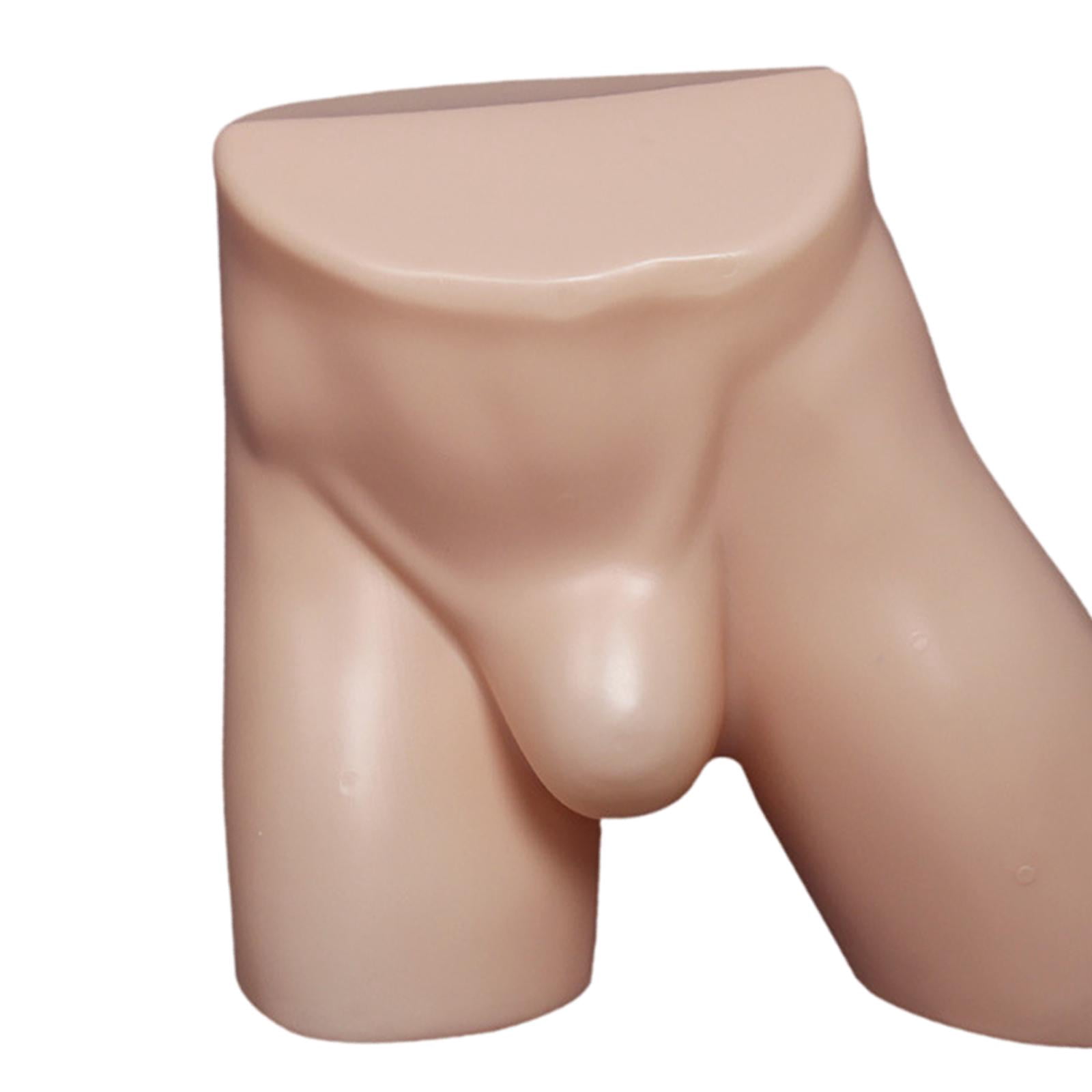 Dualoai Male Underpants Stand Male Mannequin Hip Underpants Showcase Support Mans Briefs Skin
