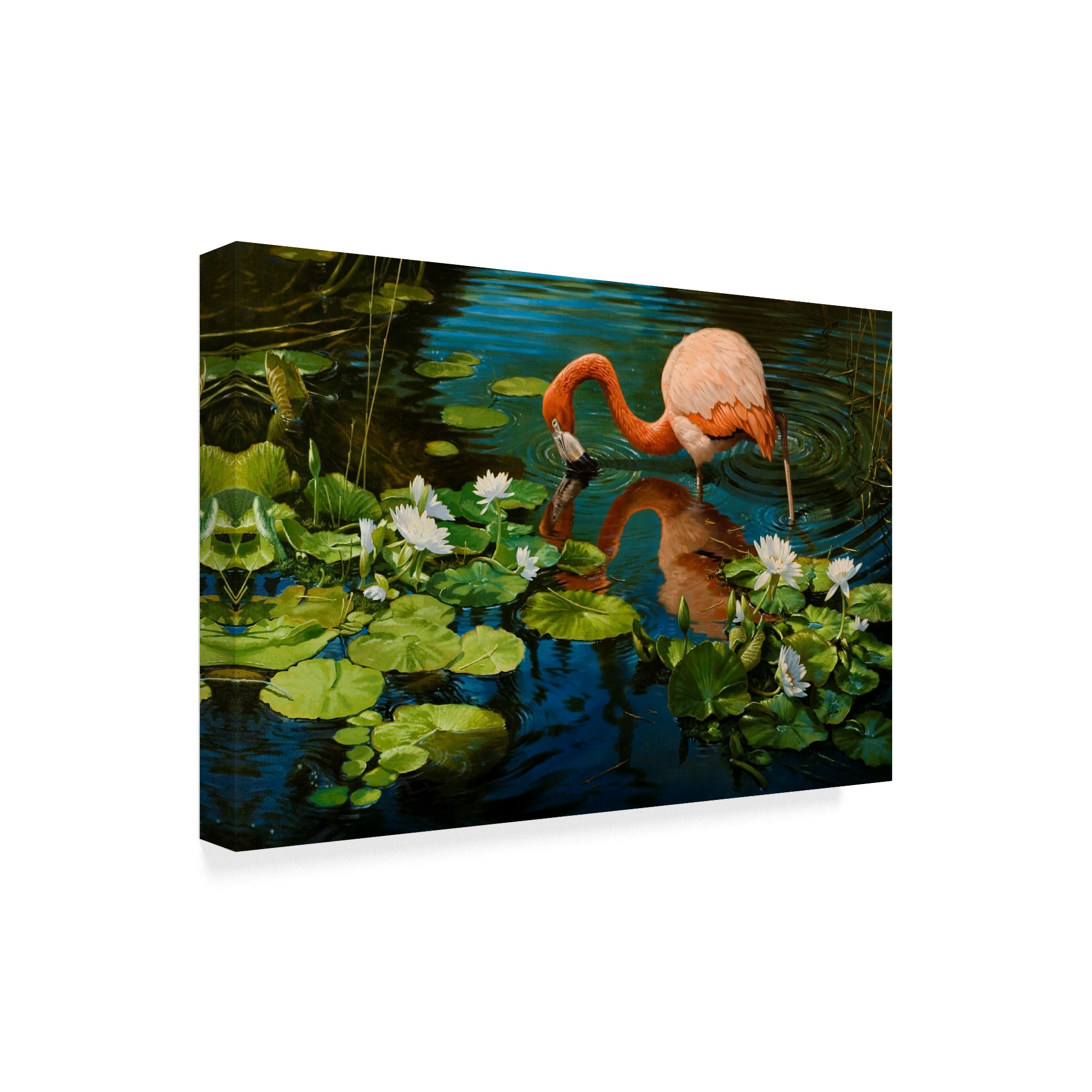 Trademark Fine Art 'Reflections Flamingo' Canvas Art by Michael Jackson