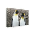 thumbnail image 2 of Trademark Fine Art 'Courting' Canvas Art by Wild Apple Portfolio, 2 of 3