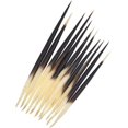 thumbnail image 1 of Plumas de puercoespín para manualidades Xinjincang, 10 piezas, negras, 5-9 cm, 1 of 8