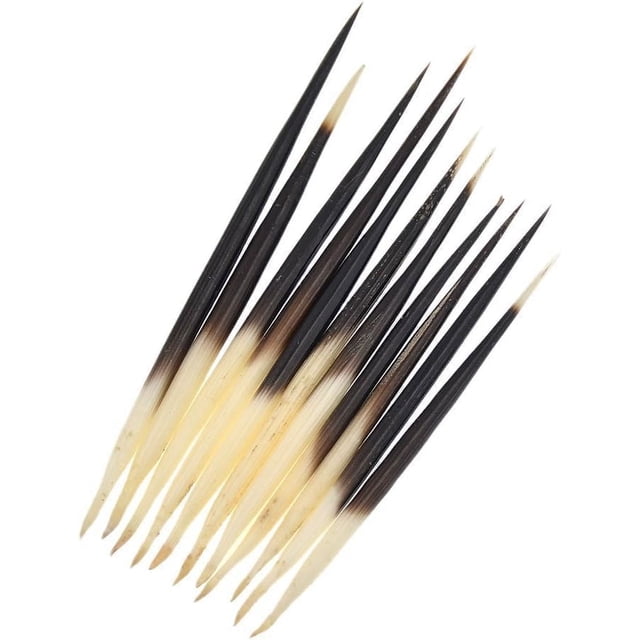 Plumas de puercoespín para manualidades Xinjincang, 10 piezas, negras, 5-9 cm