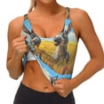 thumbnail image 3 of Hirioo Funny Countryside Donkey for Women's Sports Vest with Full-Print Design, Stretchy Fabric and Removable Pads-Large, 3 of 8