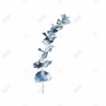 thumbnail image 3 of Eucalyptus blue leaves - 36"x36" canvas - Print on demand, 3 of 5