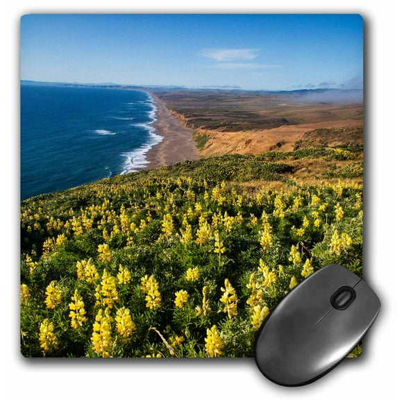 3dRose, Lupines at Point Reyes National Seashore. California, USA, Mouse Pad