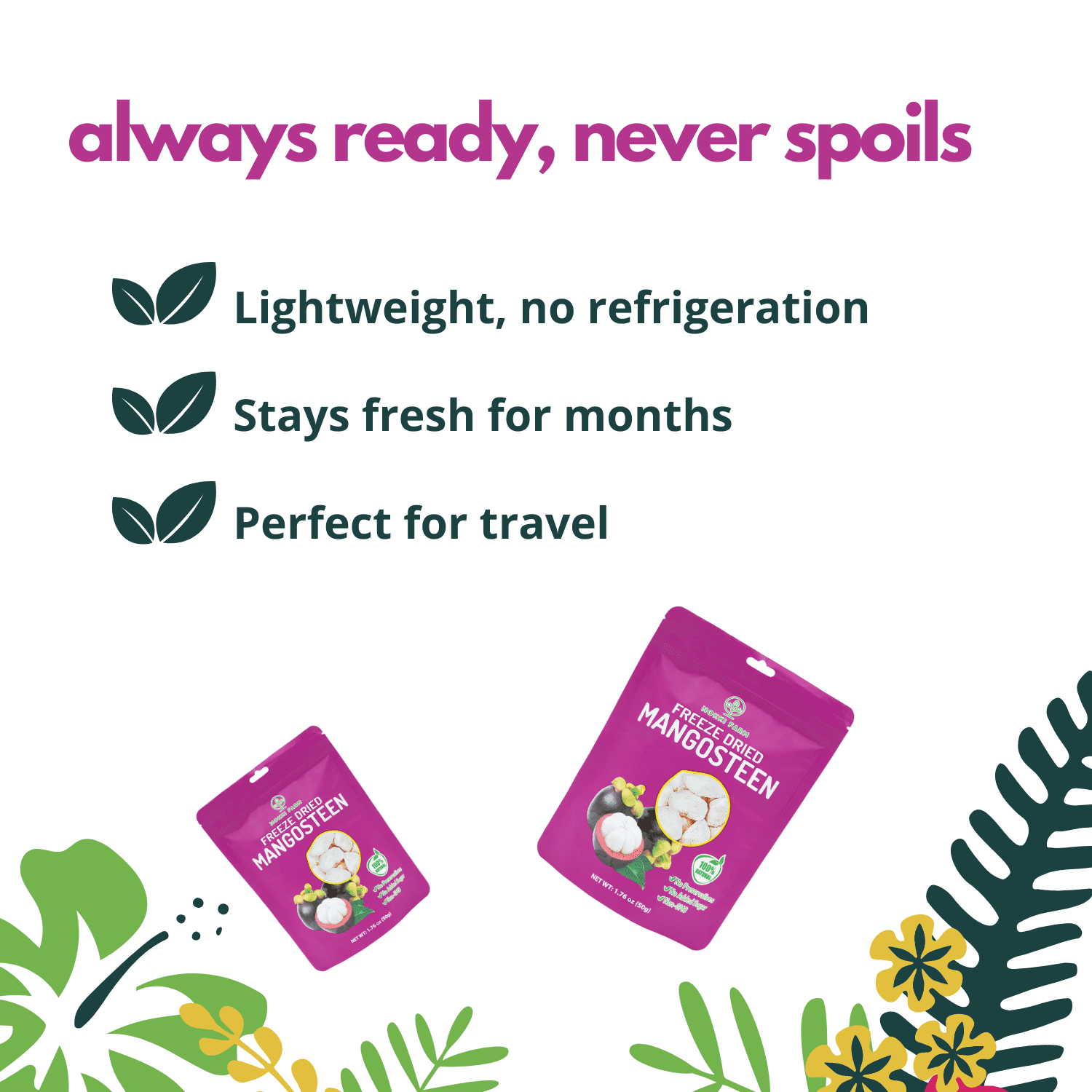 NOKKI FARM Freeze Dried Mangosteen - Healthy & Exotic Tropical Superfood Snacks, No Added Sugar or Preservatives, Kid-Approved, Shelf-Stable & Portable for On-the-go Snacking, 1.76oz x 3 packs