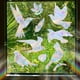 thumbnail image 5 of Adhesivos para ventanas contra pájaros Adhesivos contra colisiones de pájaros Adhesivos reflectantes arcoíris y sol No se requiere pegamento para el cristal, 5 of 8