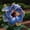 D, variant on Hibiscus Planting-Ornamental-Premium Garden Stakes-Home Decoration-(Non-Artificial)