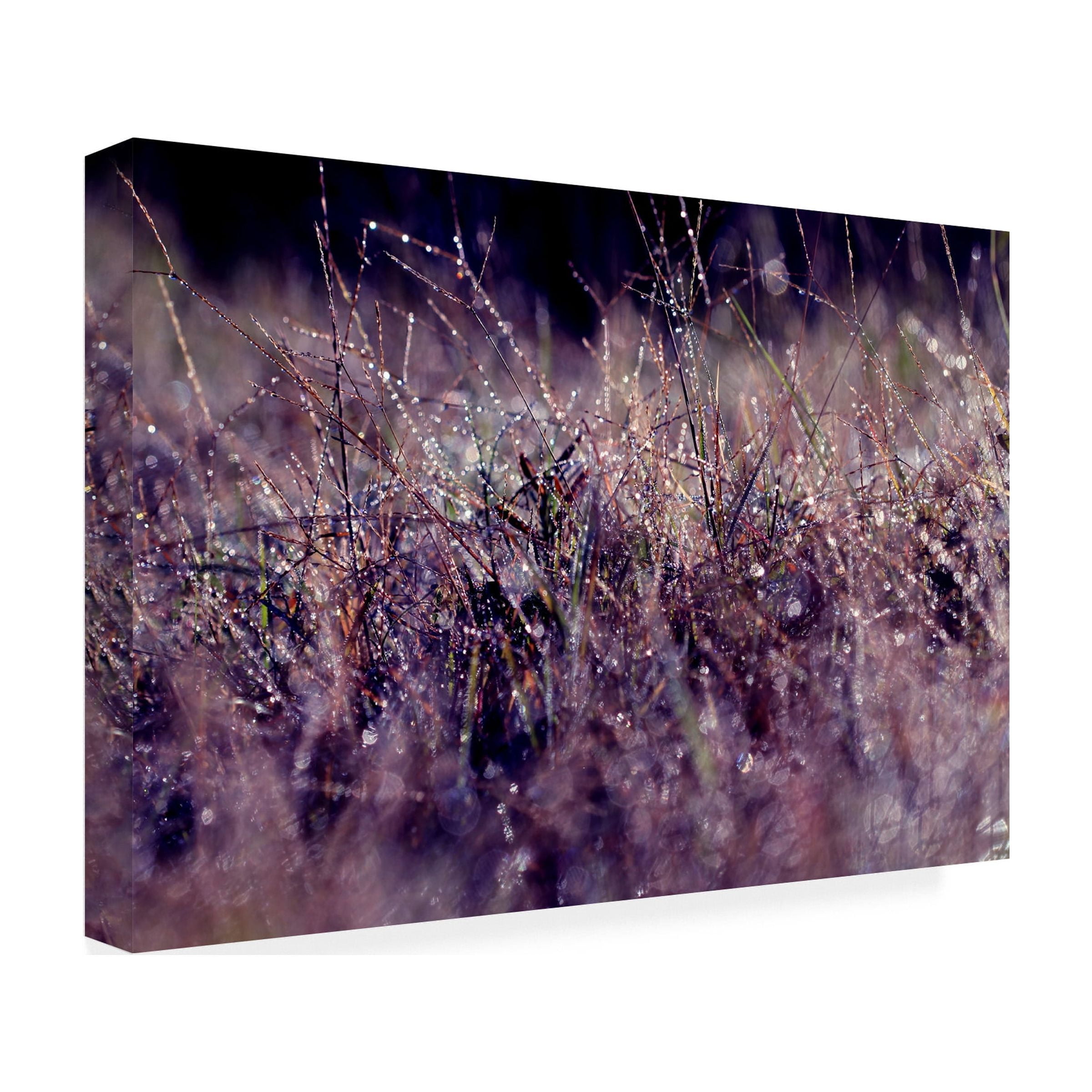 Trademark Fine Art "Purple Rain" Canvas Art by Beata Czyzowska Young