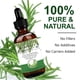 thumbnail image 1 of Pisexur Belleza Maquillaje Aceite capilar Rosmarinus Officinalis 30 ml: nutre profundamente el cuero cabelludo y favorece la regeneración capilar.para mujeres y hombres, 1 of 9