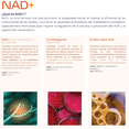 thumbnail image 4 of NAD+ Puro con Trimetilglicina y Ácido Alfa Lipoico Eternal Nutrition 100 Cápsulas 1300 mg, 4 of 5