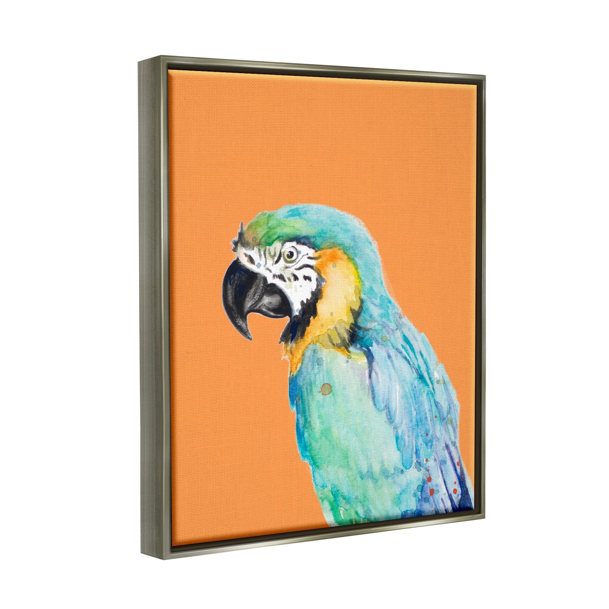 Stupell Industries Tropical Macaw Parrot Portrait Bold Rainforest Bird Graphic Art Luster Gray Floating Framed Canvas Print Wall Art, Design by Patricia Pinto