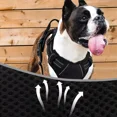 thumbnail image 3 of Pechera Arnés Ajustable Con Corre Para Perro Mediano Grande, 3 of 8