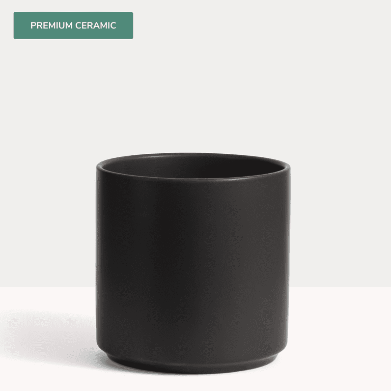 Peach & Pebble 10 inch Modern Ceramic Planter, Matte White Peach & Pebble 10 inch Modern Ceramic Planter, Matte White