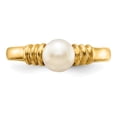 thumbnail image 5 of 14K Yellow Gold 5-6mm White Button Freshwater Cultured Pearl Ring Size 7, 5 of 7