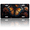 Butterfly among Flowers, variant on 1 Pcs 2D Flat License Plate Covers & Frames, A White Horse Adorned For Decorative Front, Waterproof For Decoration Aluminum License Plate Covers & Frames Cover For Men Women, 12" X 6"