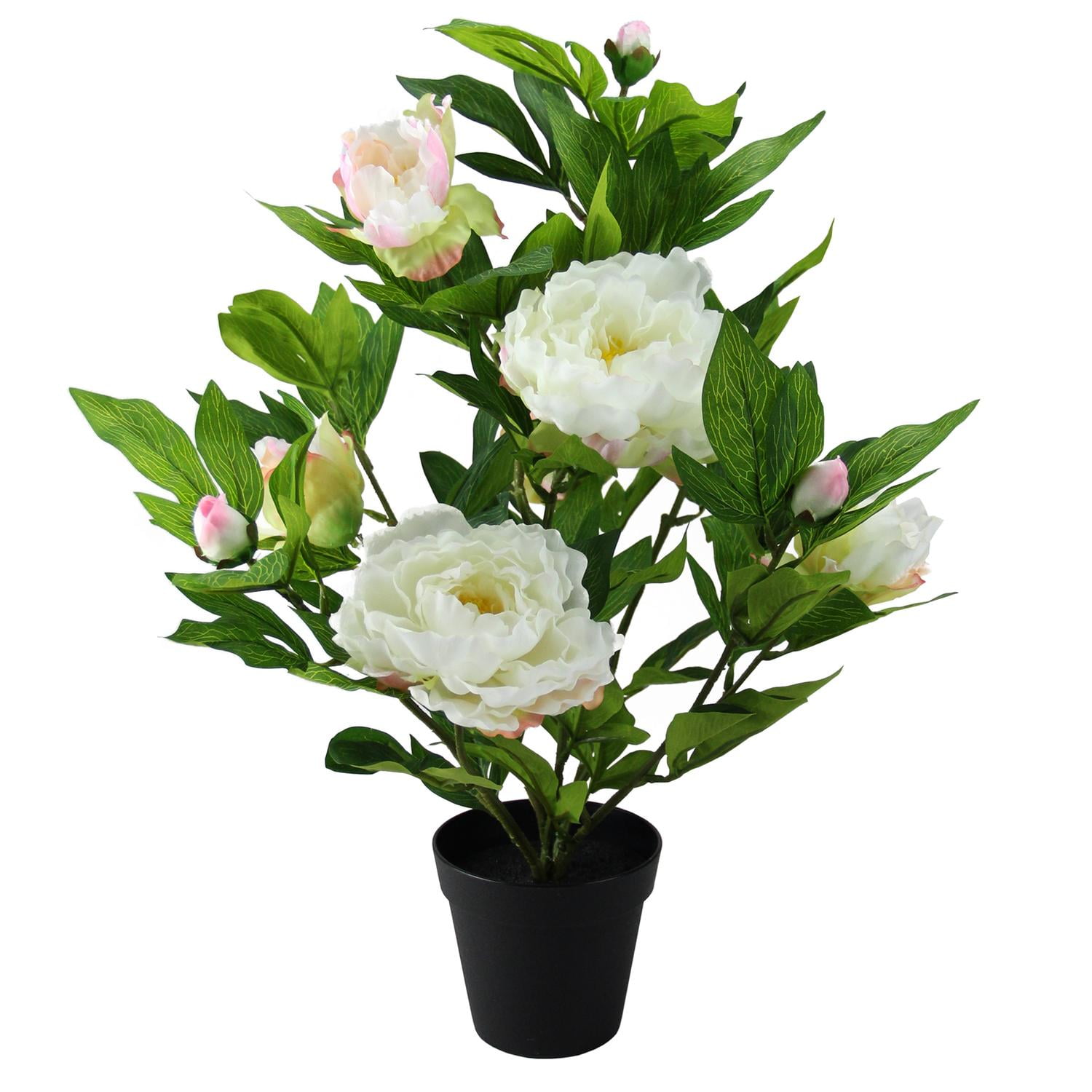 17.25" Potted Cream and Pink Artificial Blooming Peony Flower Plant
