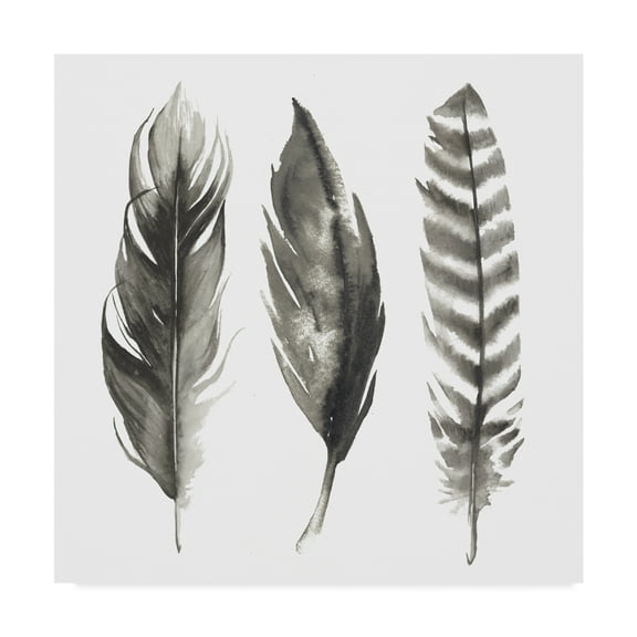Trademark Fine Art 'Watercolor Feathers I' Canvas Art by Grace Popp