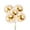 Gold, variant on BRIGHTFUFU 5-Pack 12 Inch Latex Confetti Balloons for Party Decorations