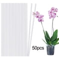 thumbnail image 2 of Flmtop 50 Sticks Acrylic Plant Stakes Flexible Durable Enhance Growth Stretchable Stable Plant Support Garden Plant Support Rack, 2 of 11