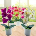 thumbnail image 2 of Farfi Elegant Artificial Bonsai Easy Care 5 Heads Beautiful Artificial Orchid Flowers Party Supplies (White), 2 of 13