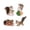 B, variant on 4 Piece Squirrel Figures Toy Set Christmas Birthday Gift Craft Realistic Figure Collection Miniature Squirrel Figure for Desk B