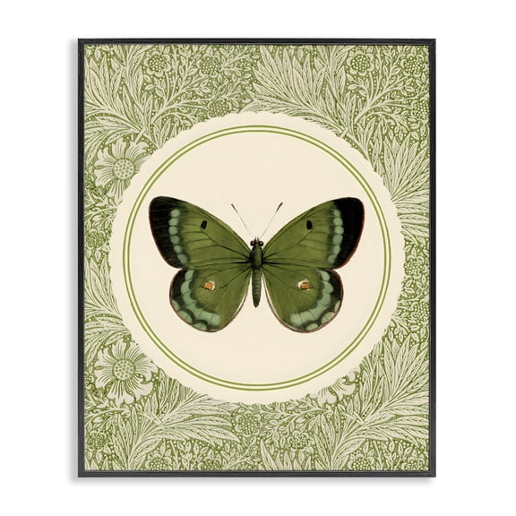 Stupell Industries Shabby Chic Green Butterfly Botanical Medallion Black Framed Giclee Art, 11 x 14, by LSR Design Studio