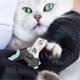 thumbnail image 3 of Pet Cat Nail Clipper Dog Nail Trimmer Non-slip Toenail Clippers With Safety Guard Pet Claw Clipper With Nail File For Dogs And Cats, 3 of 5