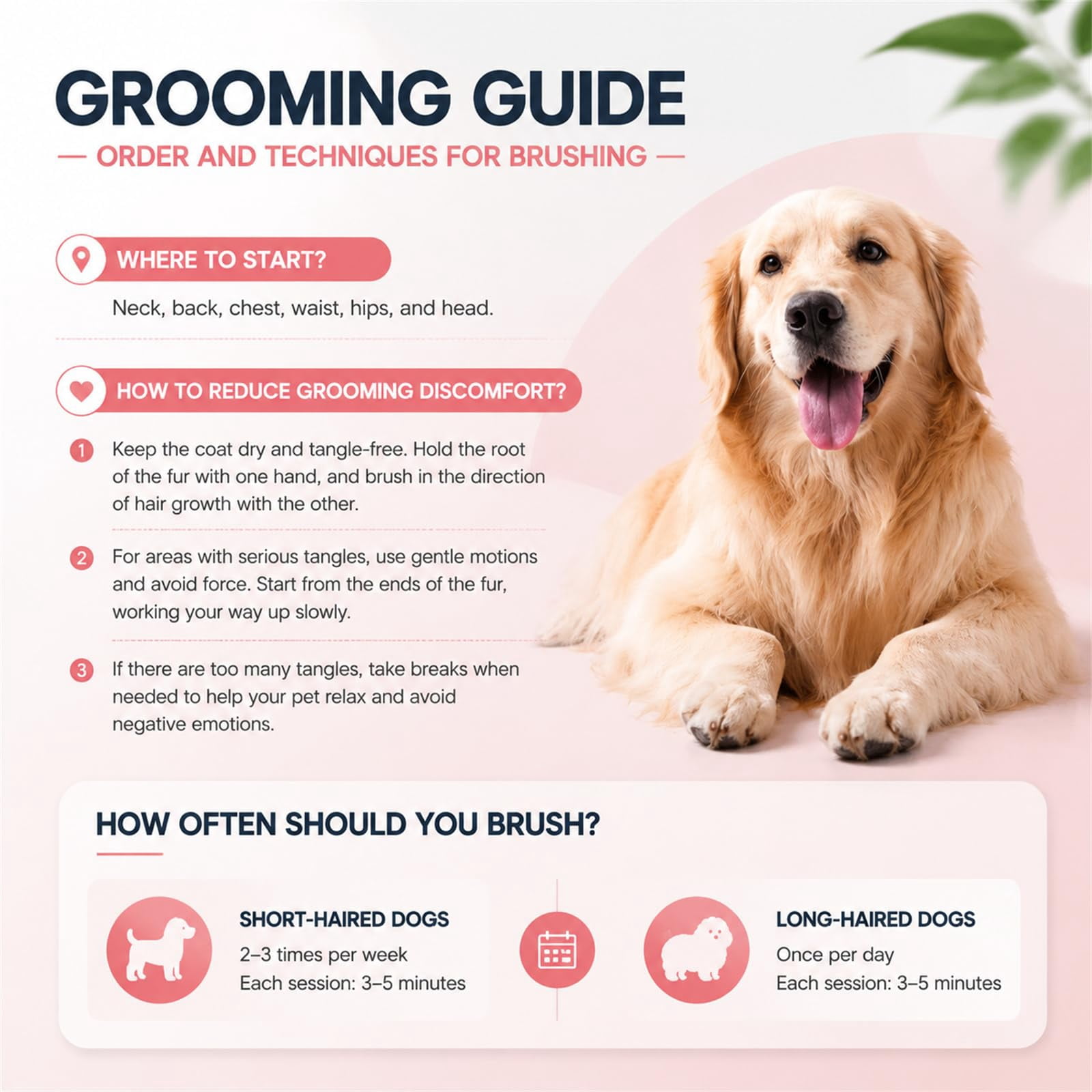 Vivanchor Pet Pro, Dual-Sided Pet Grooming Tool, Cat Brush Rake and Long Haired Dog Brushes, Pets Knotter Dogs and Cats for Grooming Hair
