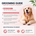 thumbnail image 2 of Vivanchor Pet Pro, Dual-Sided Pet Grooming Tool, Cat Brush Rake and Long Haired Dog Brushes, Pets Knotter Dogs and Cats for Grooming Hair, 2 of 6