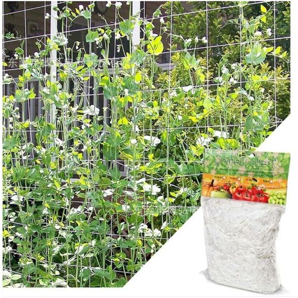 Red para plantas trepadoras, red para estacas de malla grande, red para enrejados trepadores de polietileno, para tomates, uvas, pepinos, otras frutas y verduras (6 pies 15 pies), color blanco esquí esquí Gafas de esquí