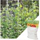 thumbnail image 1 of Red para plantas trepadoras, red para estacas de malla grande, red para enrejados trepadores de polietileno, para tomates, uvas, pepinos, otras frutas y verduras (6 pies 15 pies), color blanco esquí esquí Gafas de esquí, 1 of 5