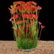 thumbnail image 2 of El acuario grande planta el ornamento plástico artificial de la decoración de las plantas del tanque de pescados para todos los pescados Xemadio WMZL-572-1, 2 of 7